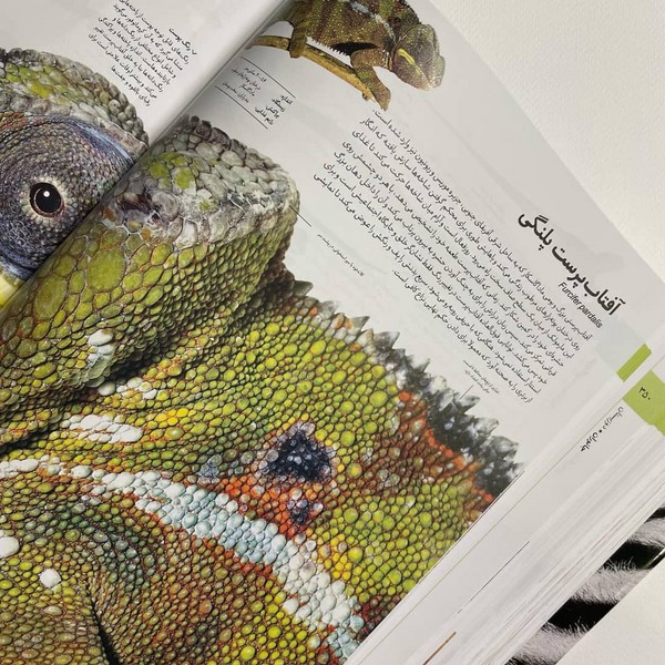 دایره المعارف مصور آفرینش دایره المعارف مصور آفرینش