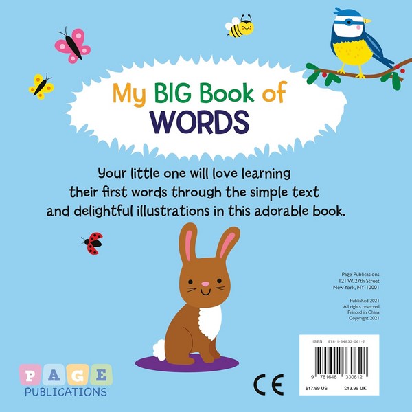 MY BIG BOOK OF WORDS MY BIG BOOK OF WORDS