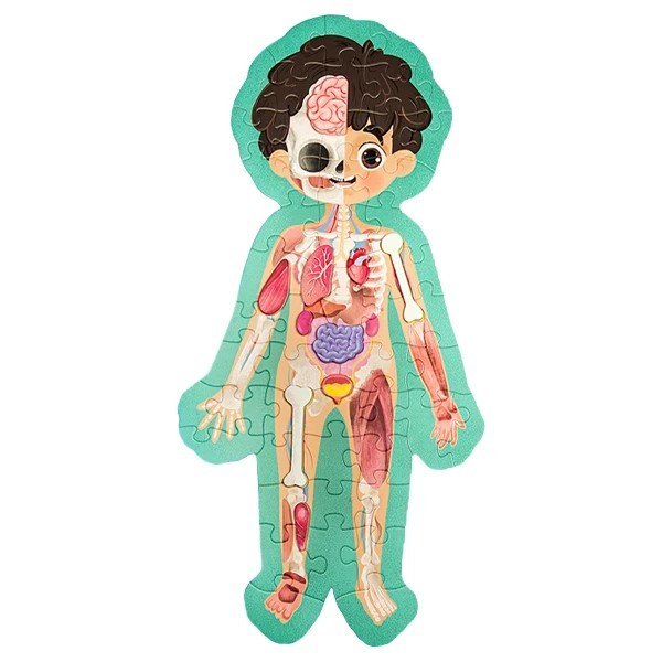 پازل آموزشی 60 تکه My body کیدفنز پازل آموزشی 60 تکه My body کیدفنز